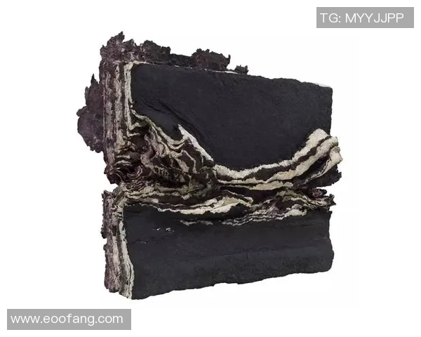 加莱诺的艺术世界探索与创作灵感的深度解析与反思