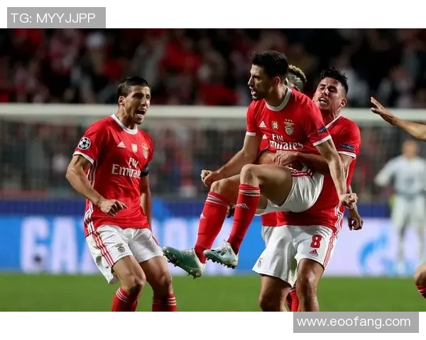 博阿维斯主场迎战本菲卡双方争夺关键三分激战一触即发 博阿维斯主场迎战本菲卡双方争夺关键三分激战一触即发