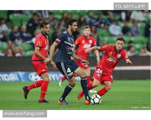 惠灵顿与墨尔本城比赛结果揭晓双方表现分析与未来展望 惠灵顿与墨尔本城比赛结果揭晓双方表现分析与未来展望