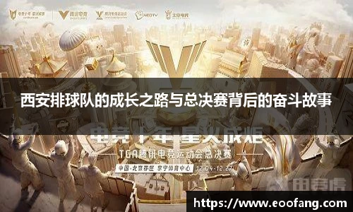 西安排球队的成长之路与总决赛背后的奋斗故事