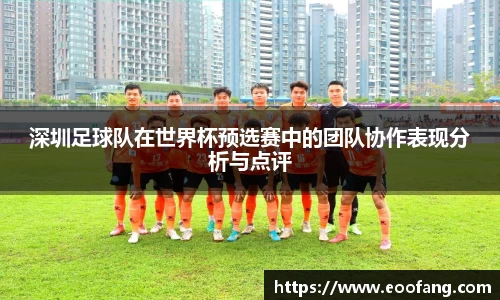 深圳足球队在世界杯预选赛中的团队协作表现分析与点评